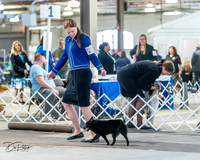 20240331-DSC02906
