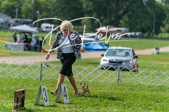 20240816-DSC00361