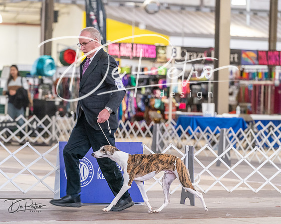 20240331-DSC03155