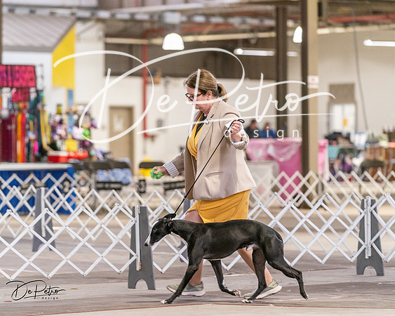 20240331-DSC03206