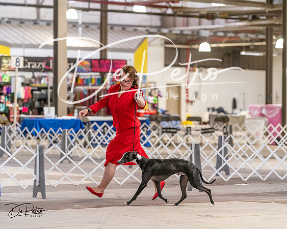 20240331-DSC03277