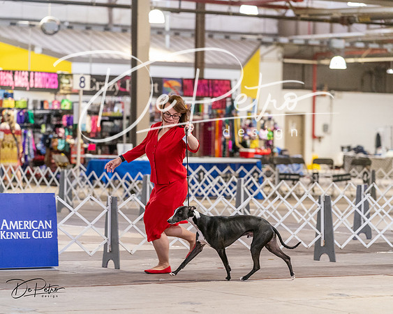 20240331-DSC03280