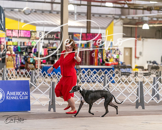 20240331-DSC03281