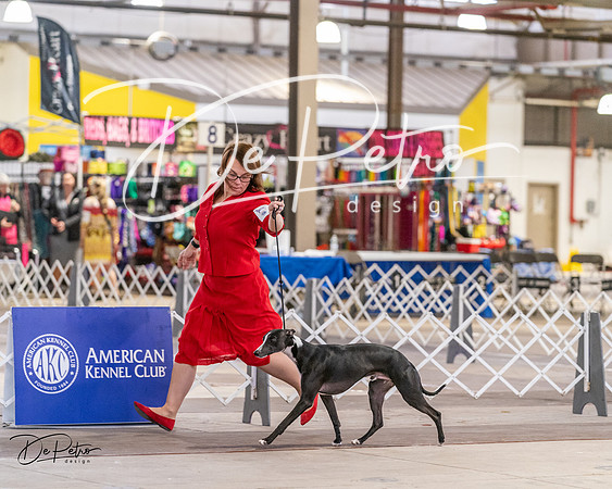 20240331-DSC03284