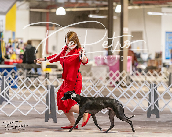 20240331-DSC03299