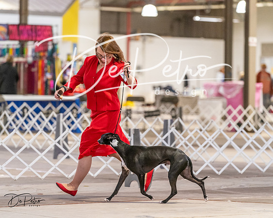 20240331-DSC03303