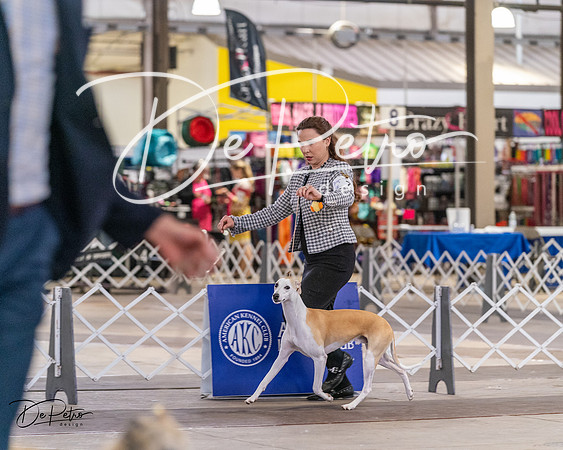 20240331-DSC03360