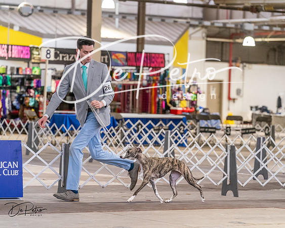 20240331-DSC03410