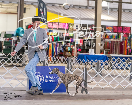 20240331-DSC03422