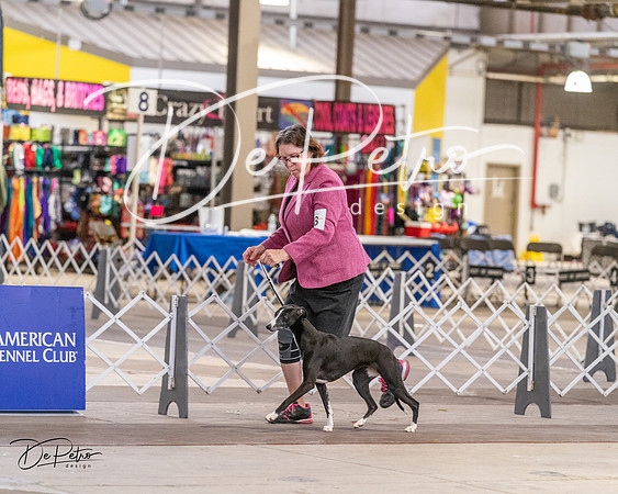 20240331-DSC03427