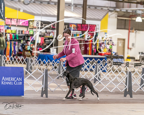 20240331-DSC03428