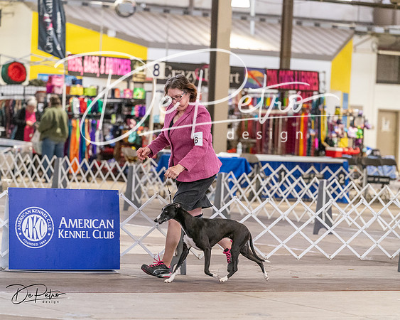 20240331-DSC03432
