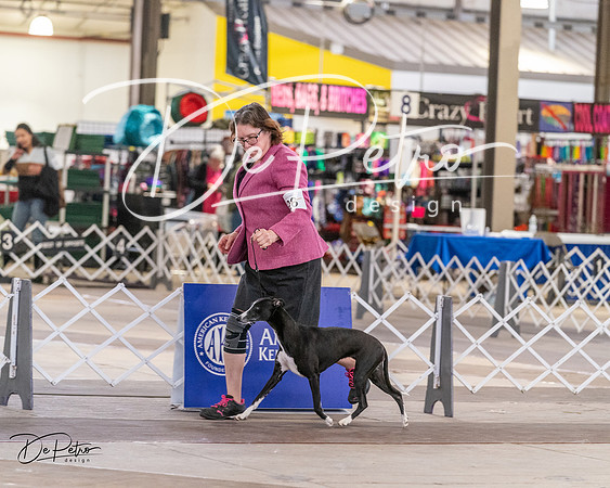 20240331-DSC03439