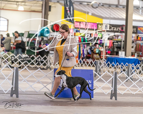 20240331-DSC03446