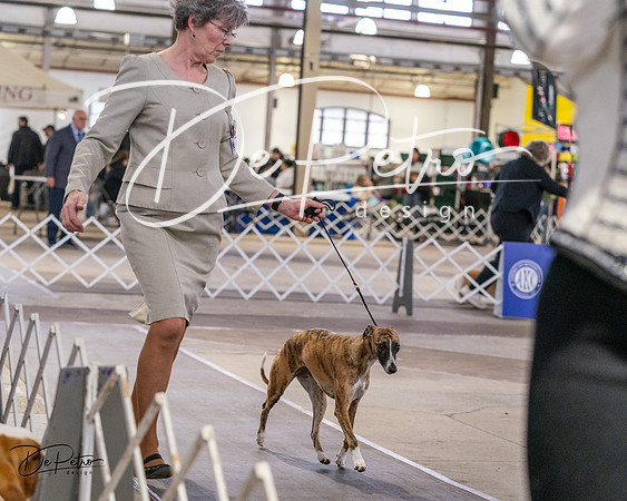 20240331-DSC03503