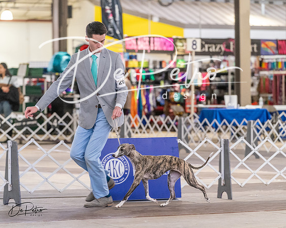 20240331-DSC03514