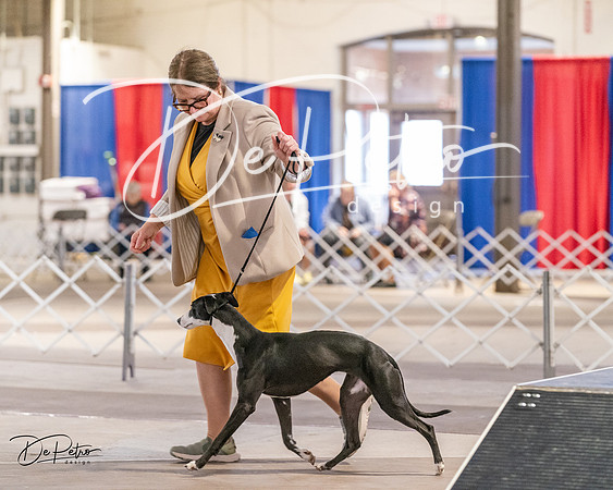 20240331-DSC03561