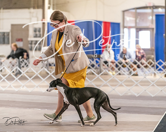 20240331-DSC03565