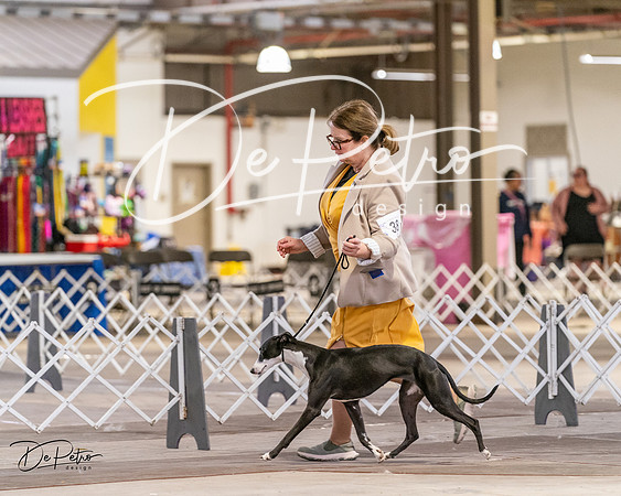 20240331-DSC03581