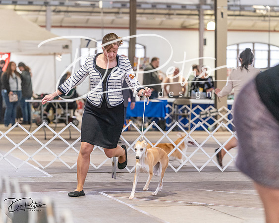 20240331-DSC03656