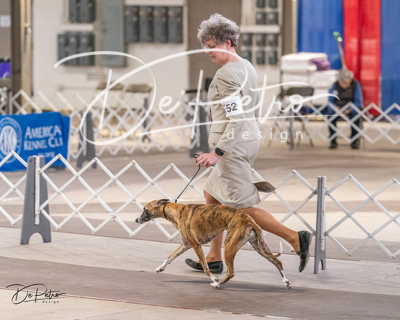 20240331-DSC03720