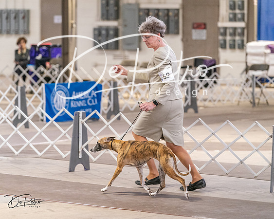 20240331-DSC03724