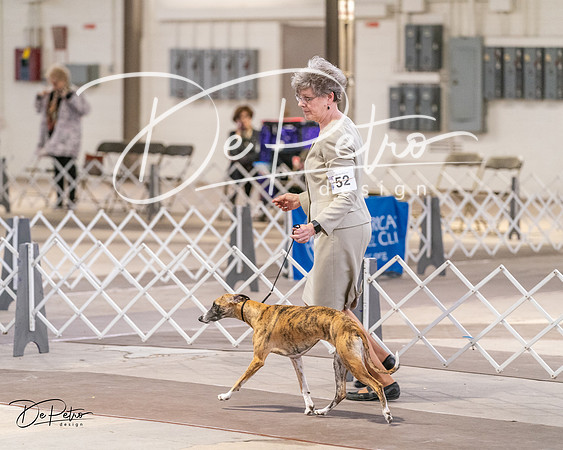 20240331-DSC03731