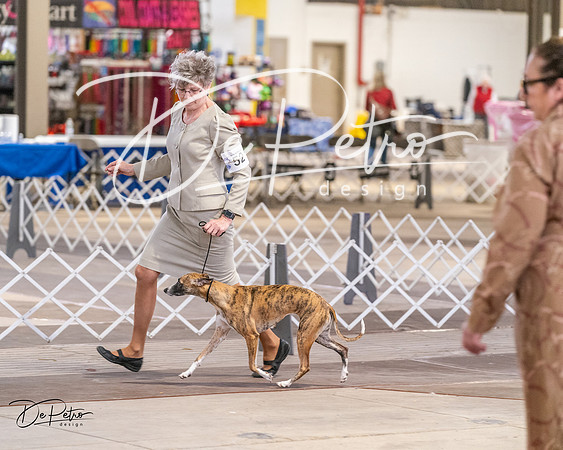 20240331-DSC03750