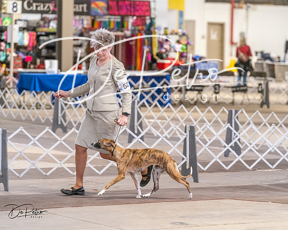 20240331-DSC03753