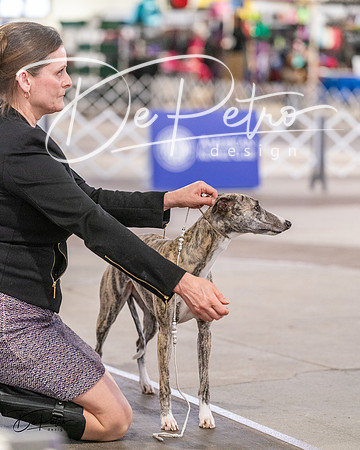 20240331-DSC03767