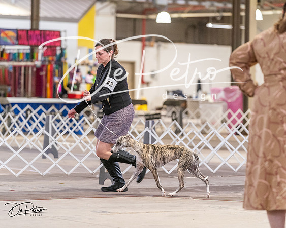 20240331-DSC03775