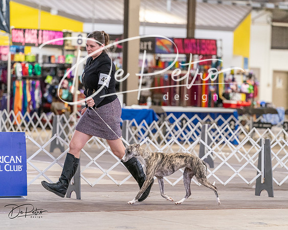 20240331-DSC03787