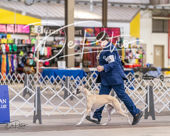 20240331-DSC03800