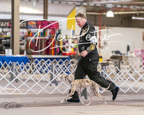 20240331-DSC03808