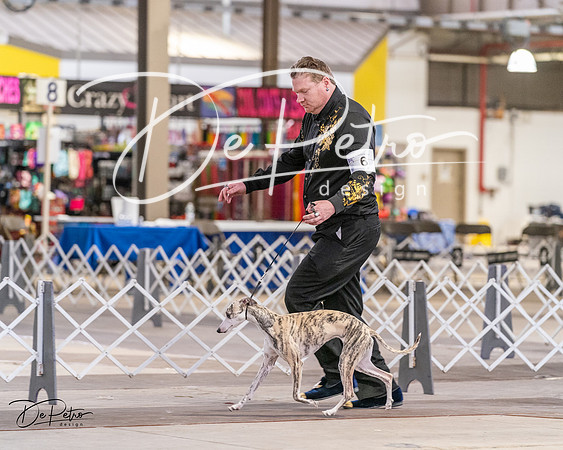 20240331-DSC03812