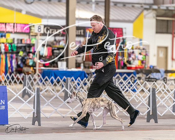 20240331-DSC03815