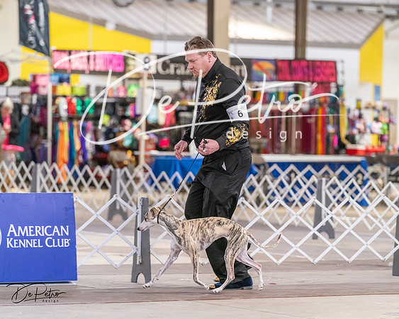 20240331-DSC03819