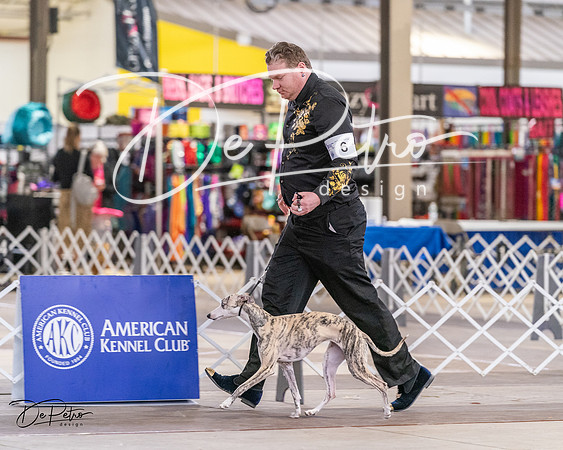 20240331-DSC03822