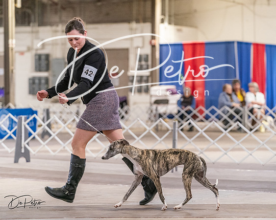 20240331-DSC03839