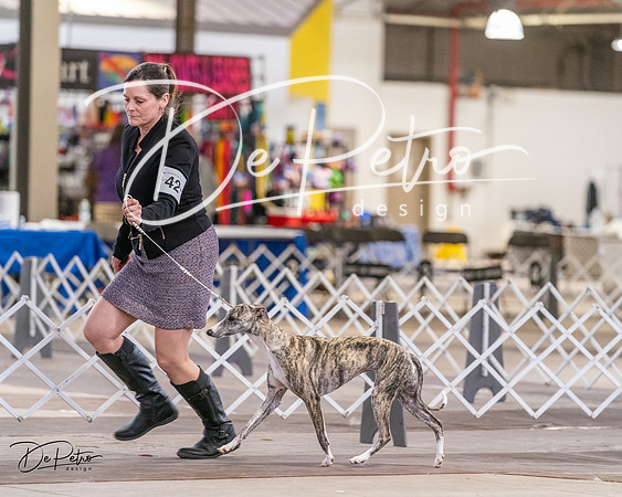 20240331-DSC03878