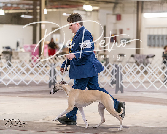20240331-DSC03891