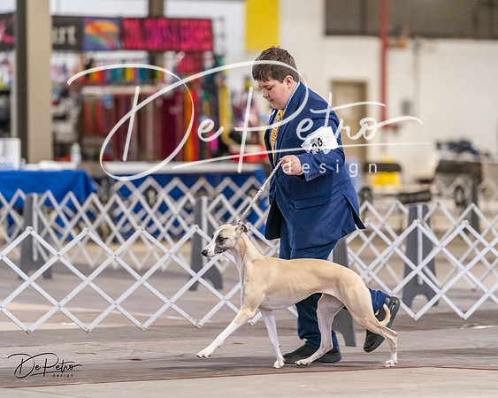 20240331-DSC03908