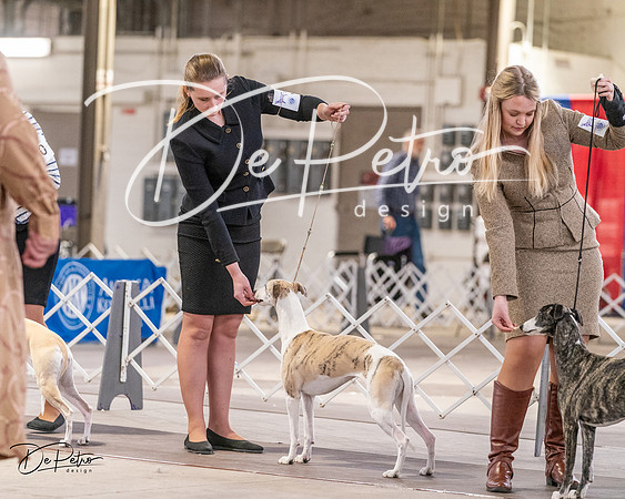 20240331-DSC03978