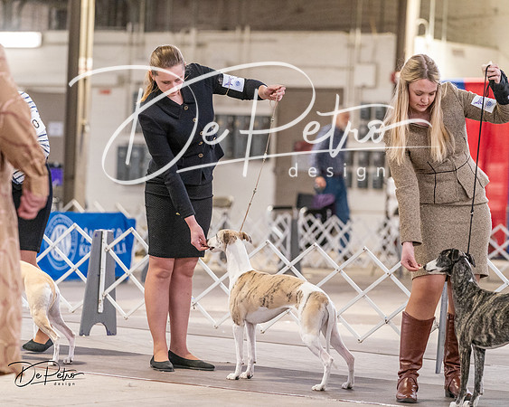 20240331-DSC03979