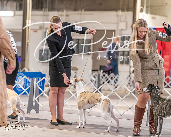 20240331-DSC03980