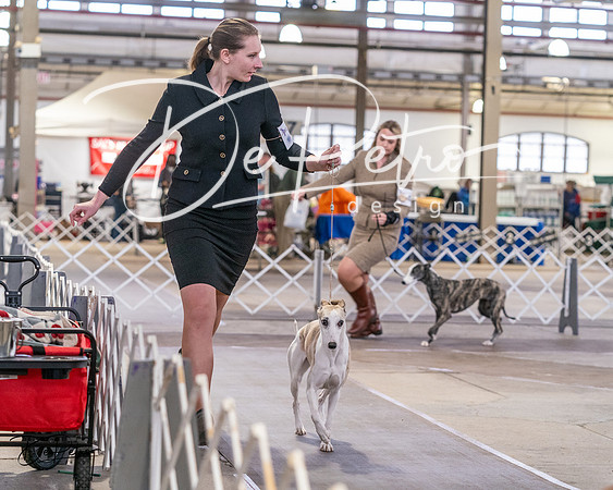 20240331-DSC04042