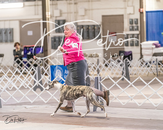 20240331-DSC04057