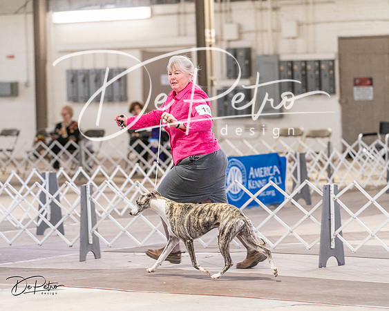 20240331-DSC04061