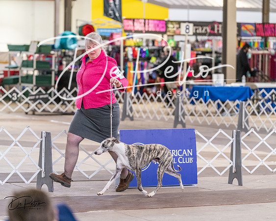 20240331-DSC04086
