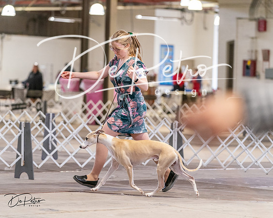 20240331-DSC04105
